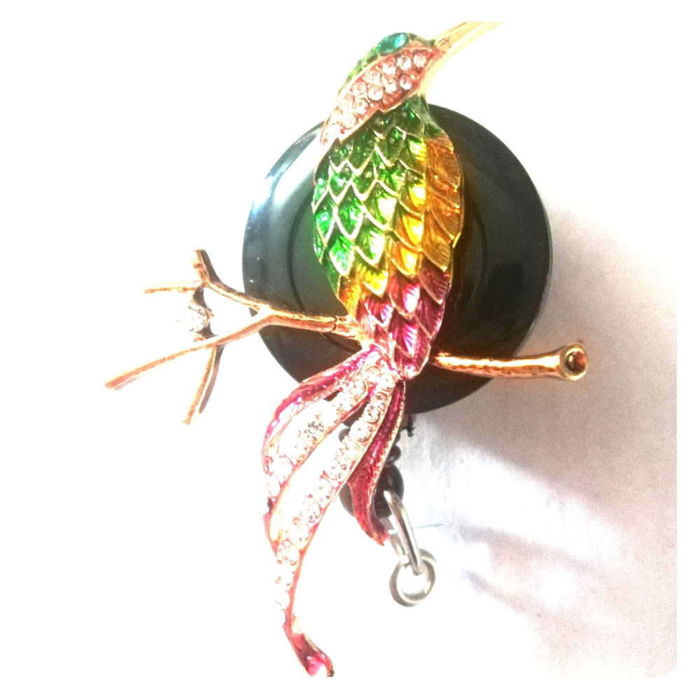 New hummingbird name badge